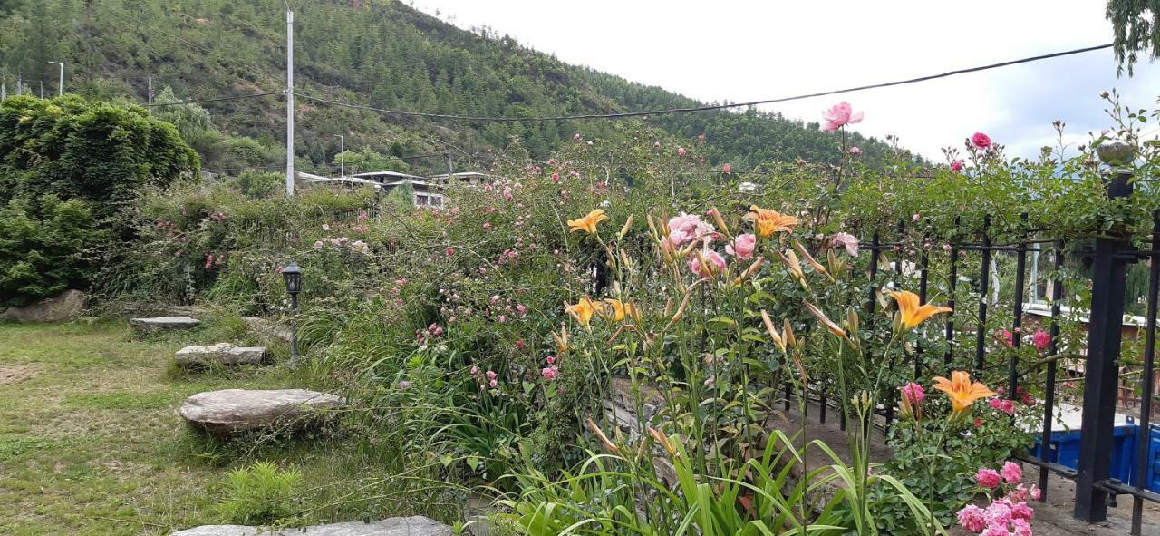 Kisa Villa Thimphu Zewnętrze zdjęcie